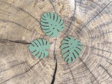 feuilles de monstera-1