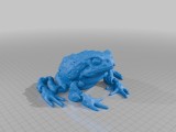 Frog-2