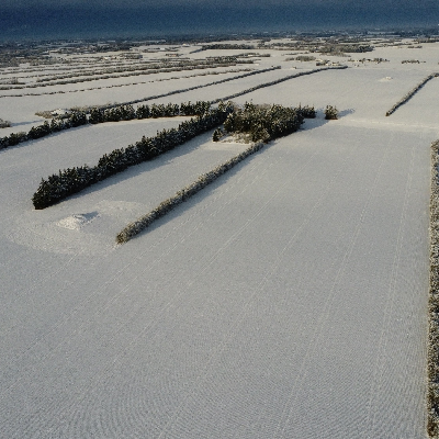 avatar of MadsHansen