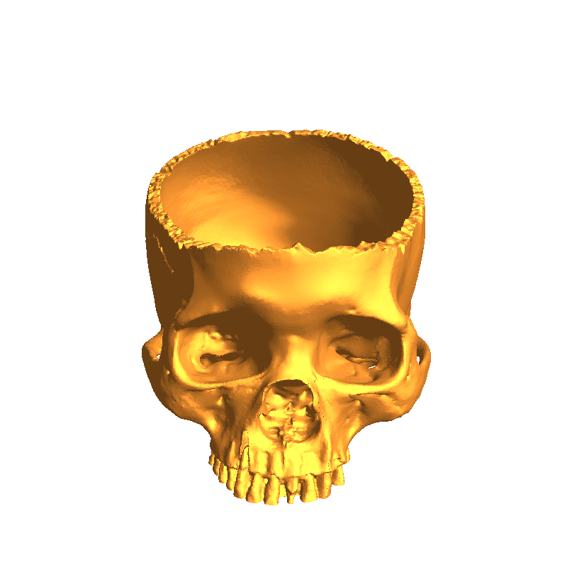 Skull bowl