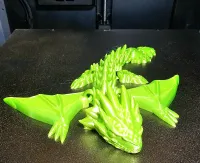 Amphiptere Flexible Baby Dragon-1