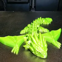 Amphiptere Flexible Baby Dragon-1