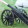 avatar of Jaz1642