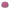 dan