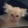 avatar of 3fm cato