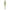 scheletro umano