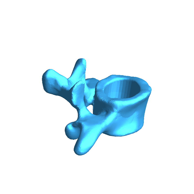 Dorso articolato con base