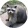 avatar of Raton