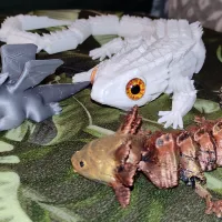 The Baby Dragon-1