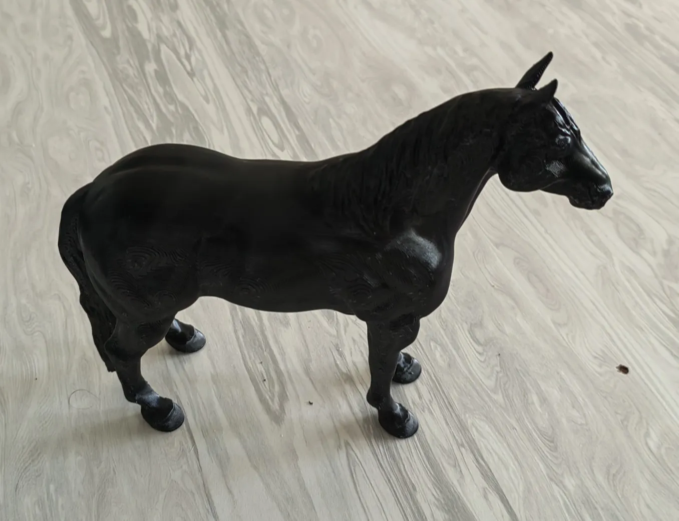 cavalo-0