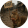 avatar of riotsquirrel