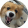 avatar of anglerfishz