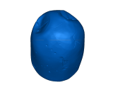  relic-0