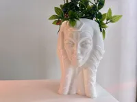 AHSOKA FLOWER POT-STAR WARS-0