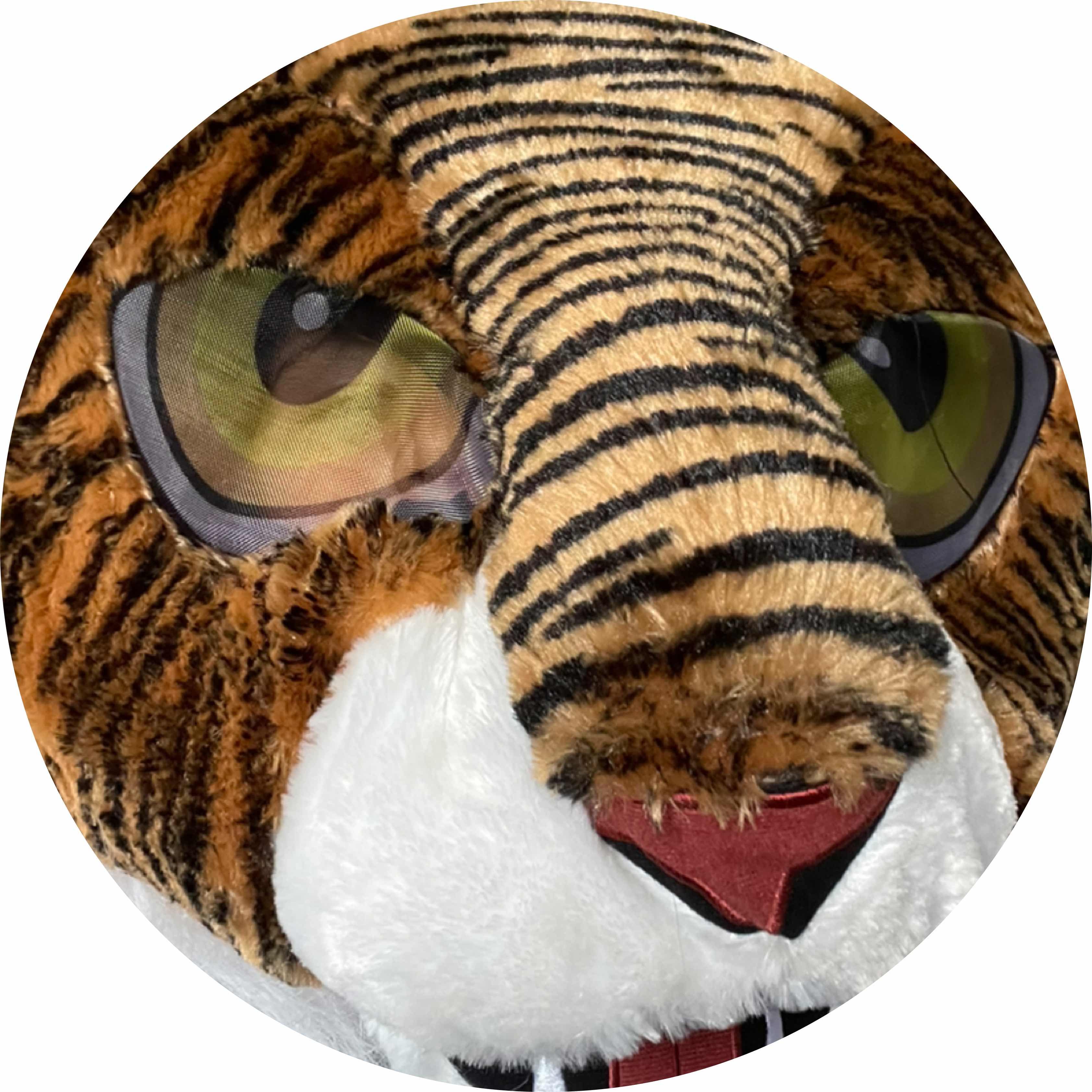 avatar of CelticsTigers3