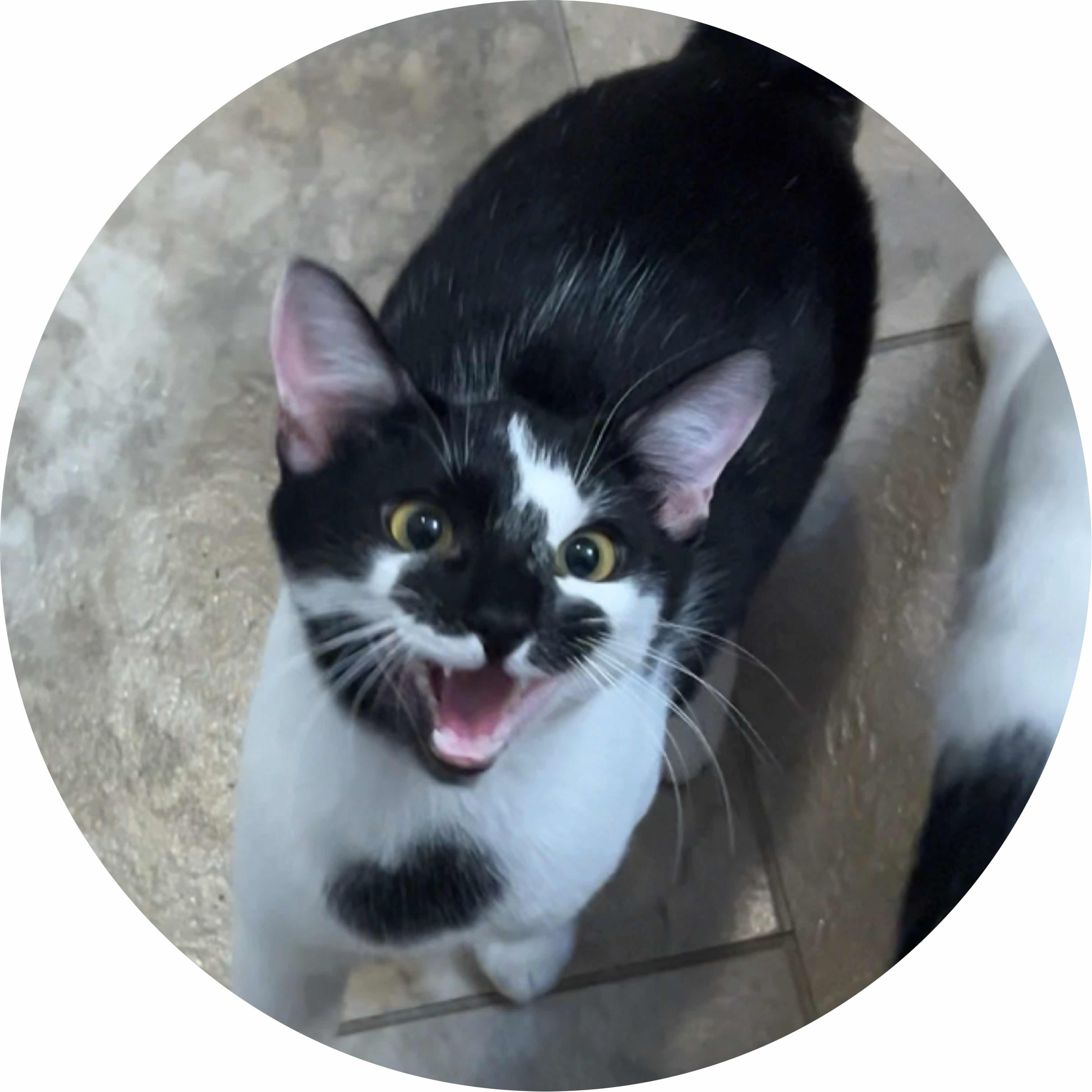 avatar of Code_E
