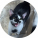 avatar of Code_E