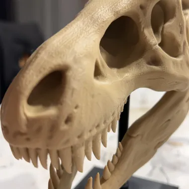 T-Rex Skull-1