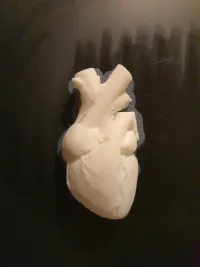 Anatomical Heart Vase - Stand Alone-0