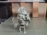 Pirate skeleton-0