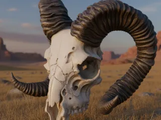 RAM SKULL