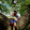 avatar of Keet 3D Print