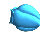 猫头鹰-0