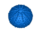 sea urchin shell bumpy-0