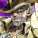 avatar of user9433958763