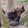avatar of Skyer2200