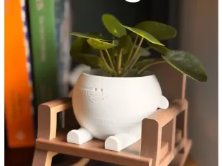 Rock Pot