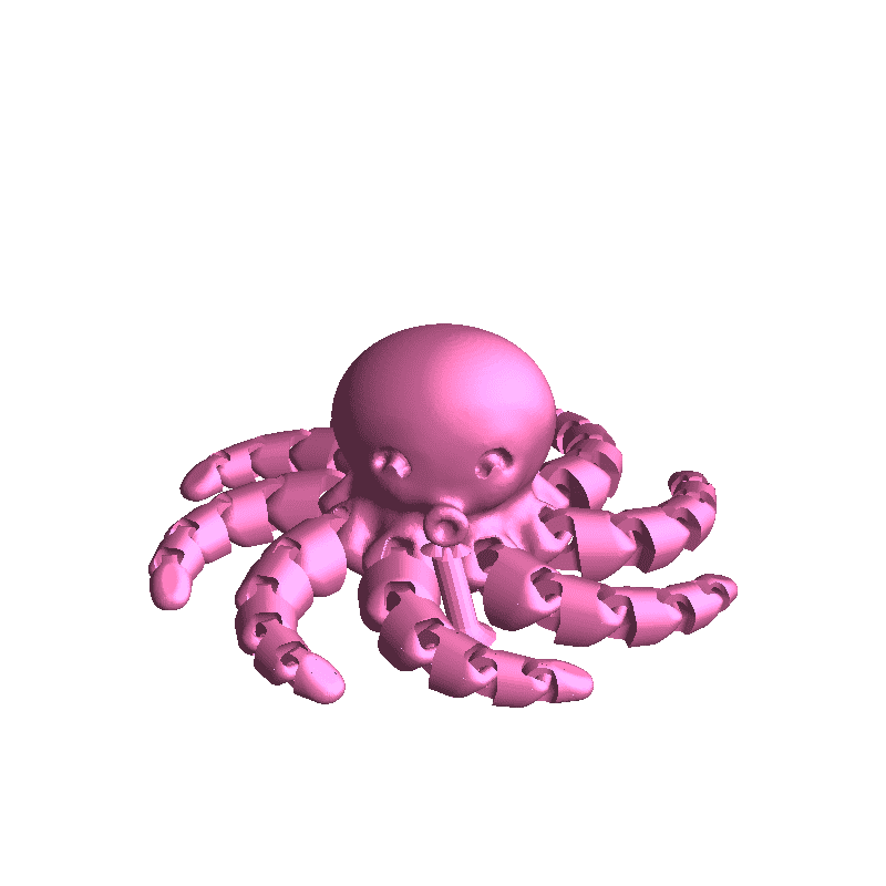 octopus