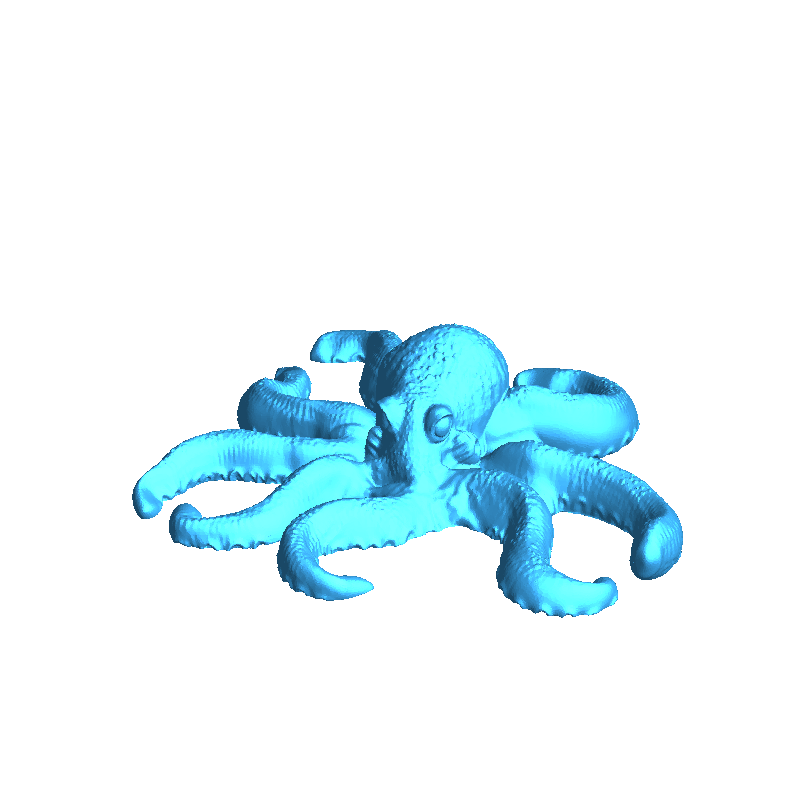 Octopus Casual