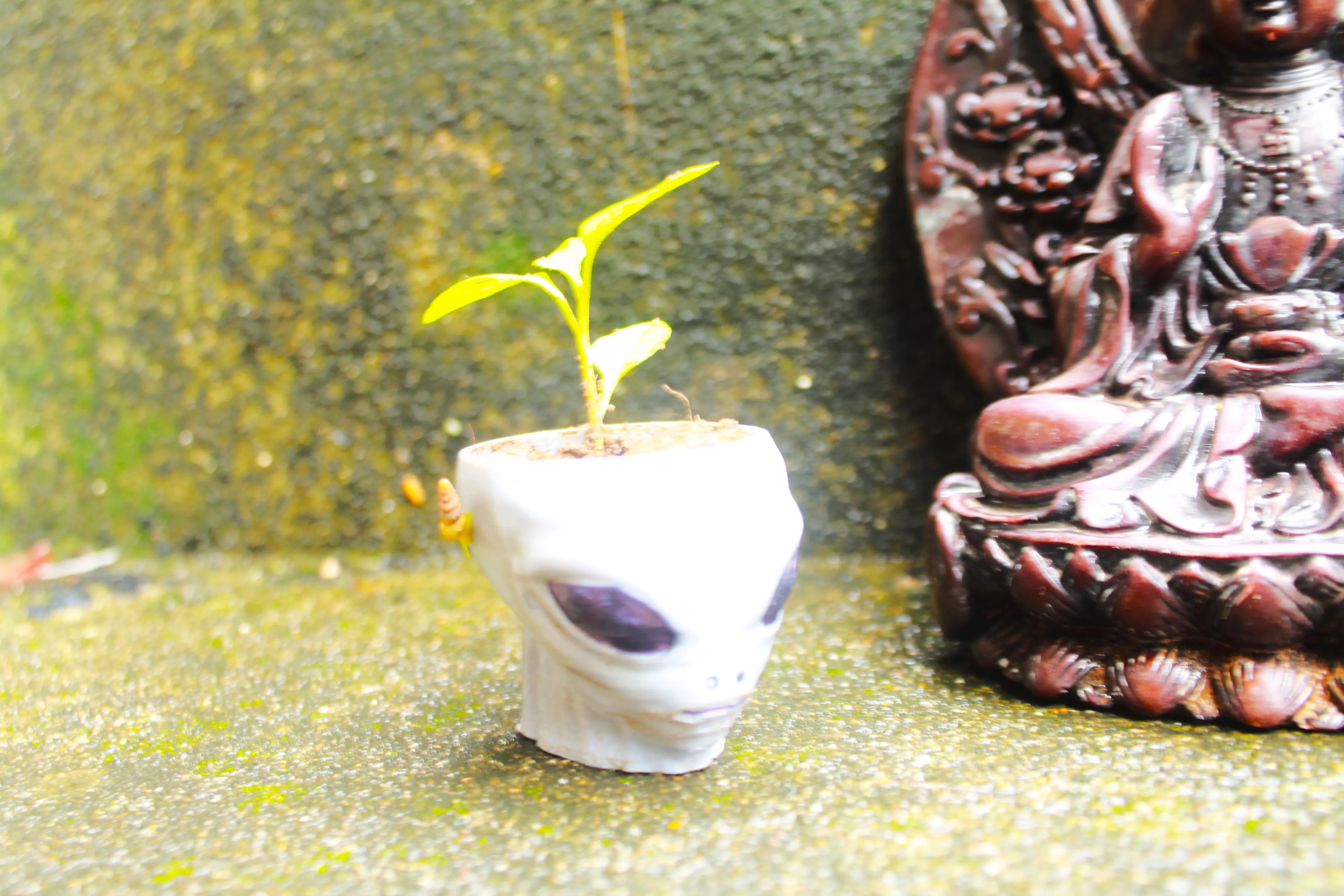 Alien Halloween decoration, plant pot, flower pot, bowl-0