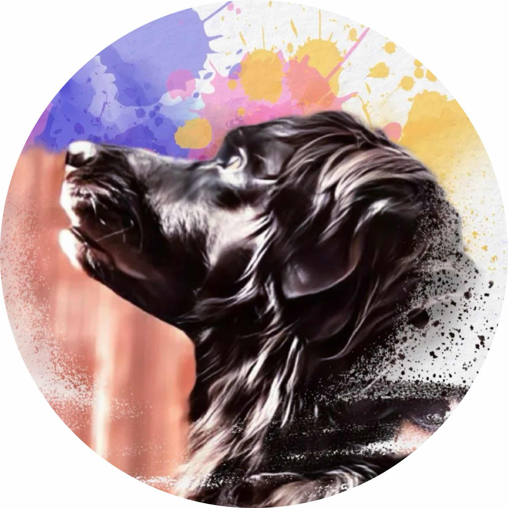 avatar of RaulGCH77