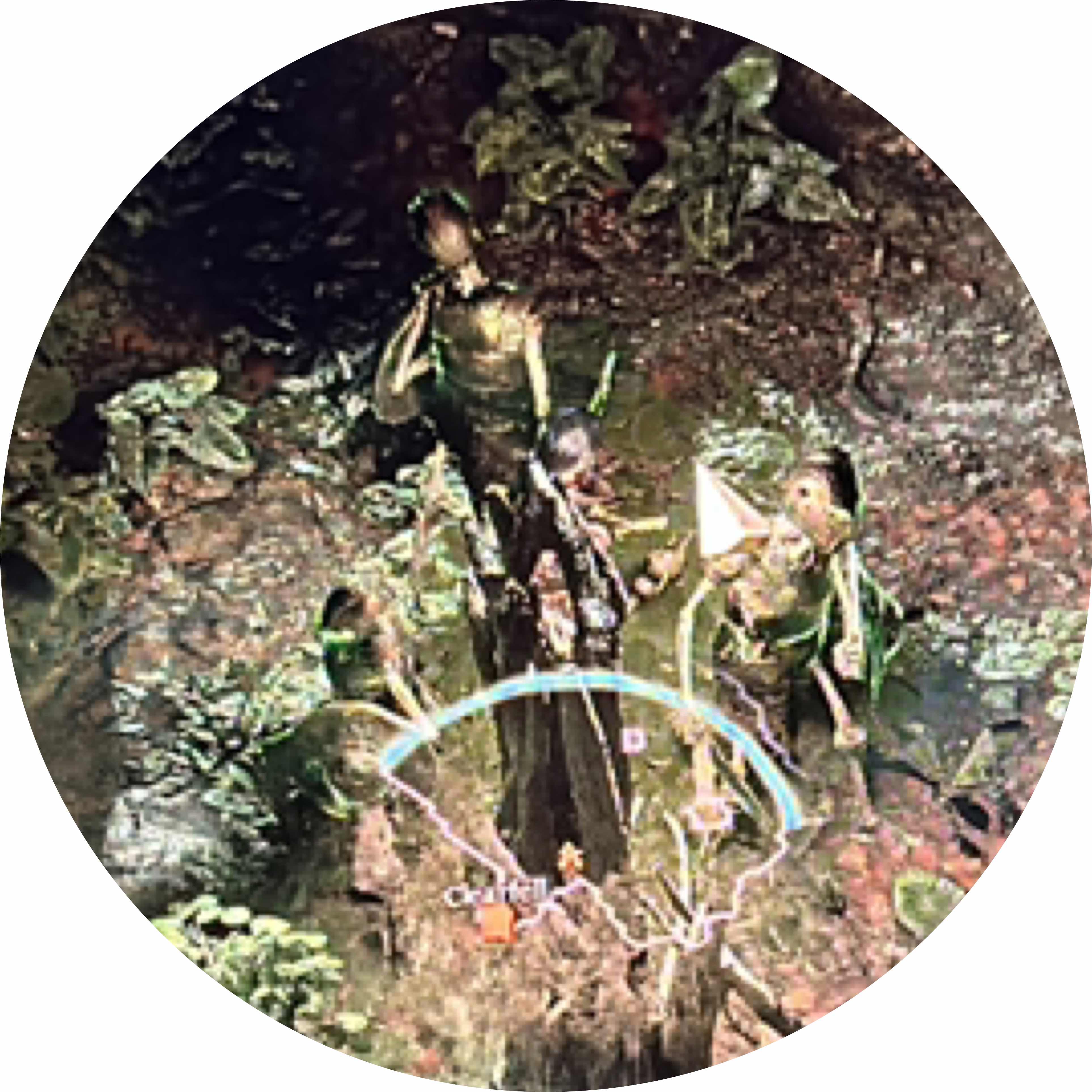 avatar of Caty61