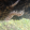 avatar of type347