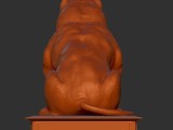 american bully sentado -3