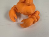 Cute crab-3