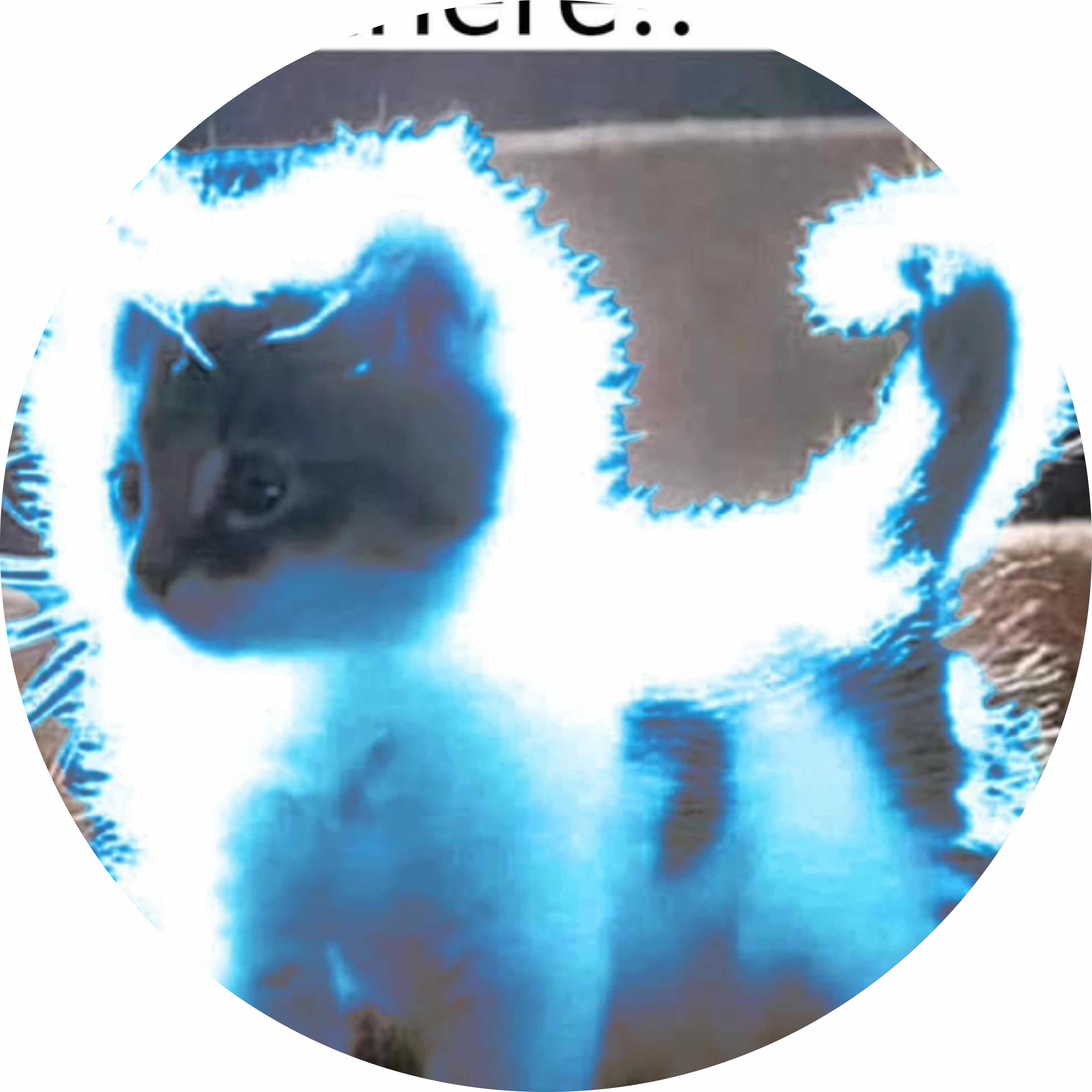 avatar of SilentSlyr
