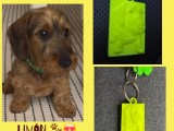 Llavero perrito-0