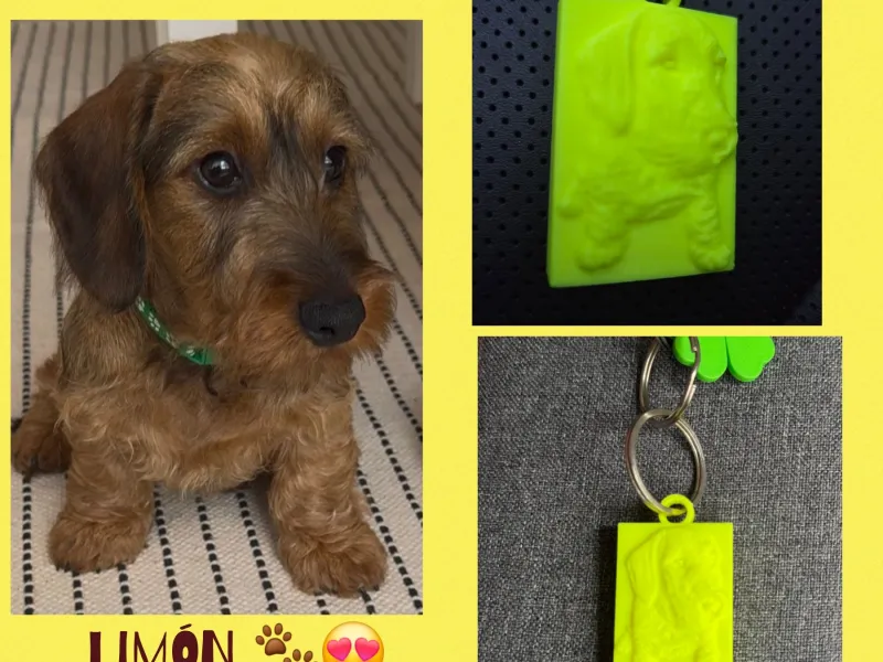 Llavero perrito