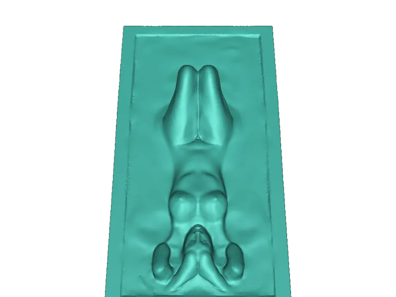 twilek 
