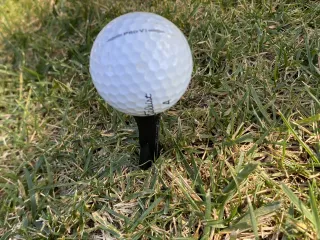 Golf Tee