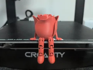 Articulated rose 
