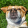 avatar of Geoz