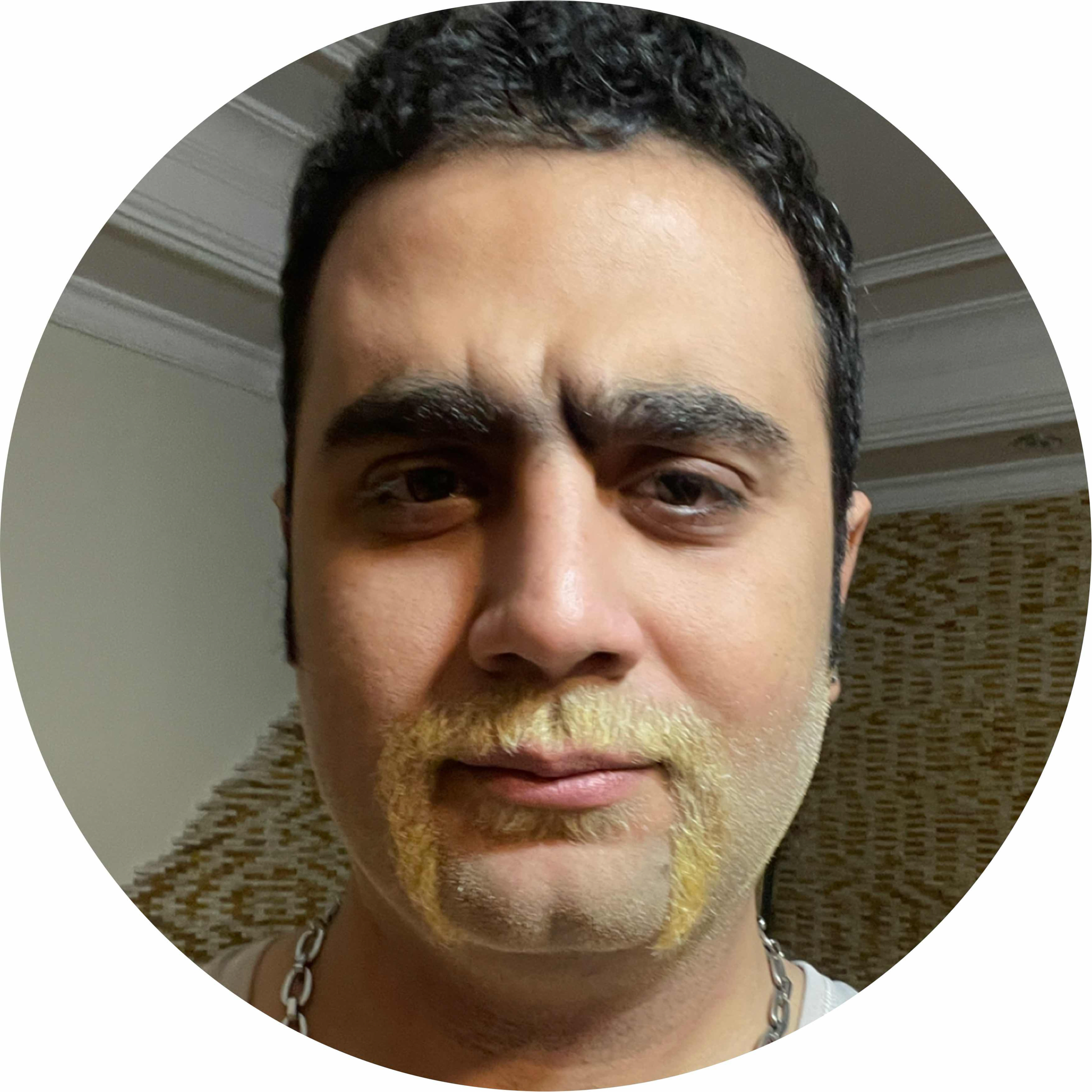 avatar of Masood kamyab