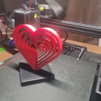 Concentric Heart-3