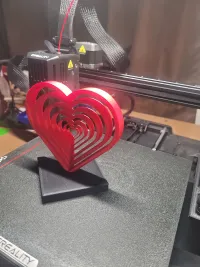 Concentric Heart-3