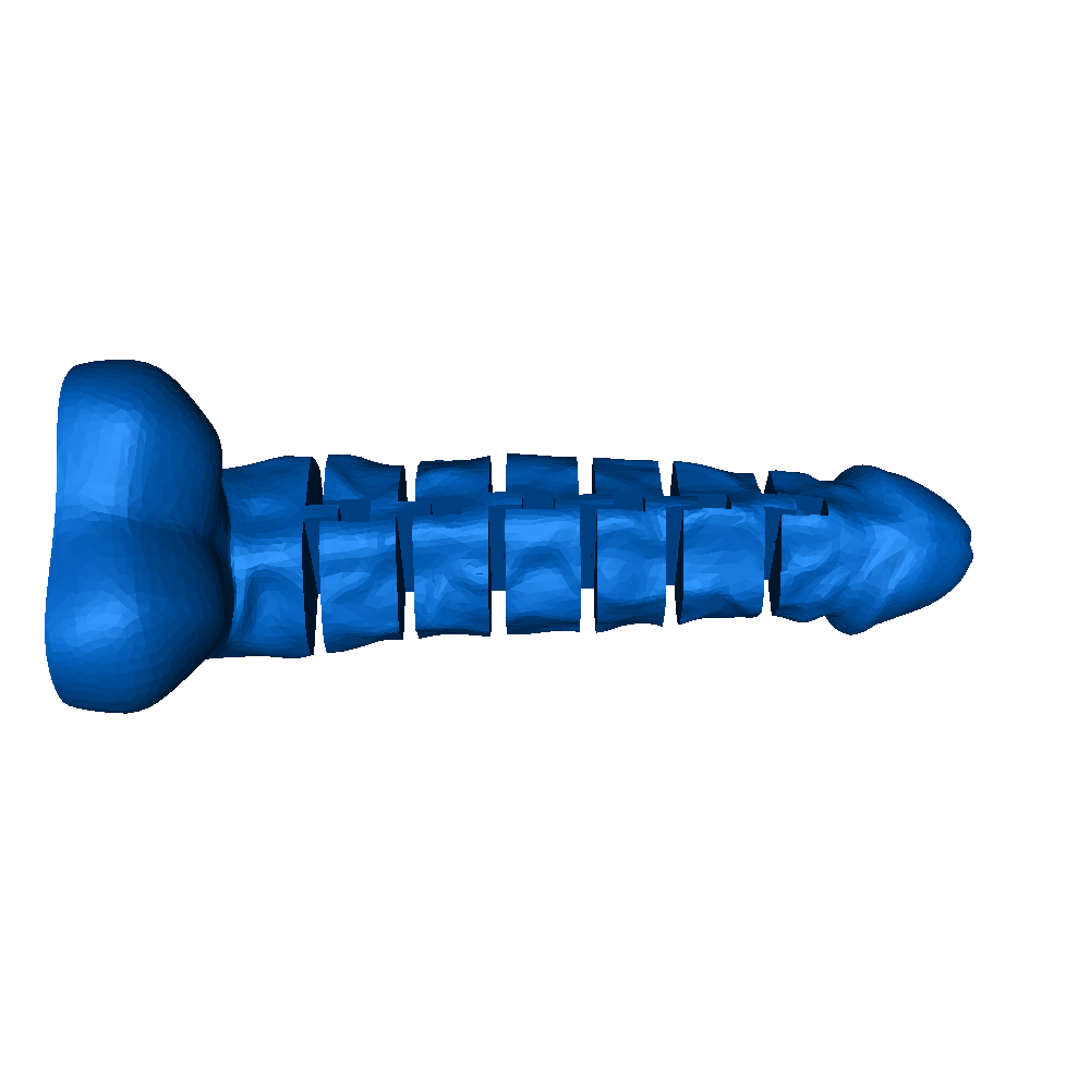 flexi dild